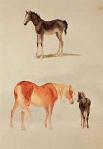 Onbekend schilderij